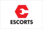 escorts